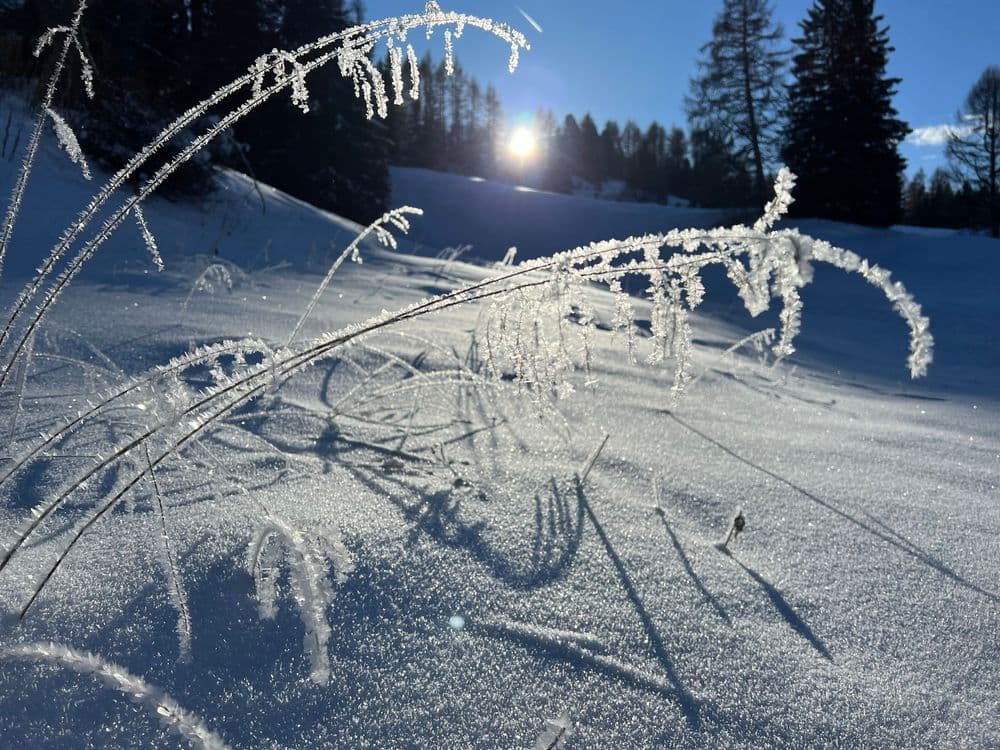 Winterwanderungen